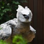 article image - 